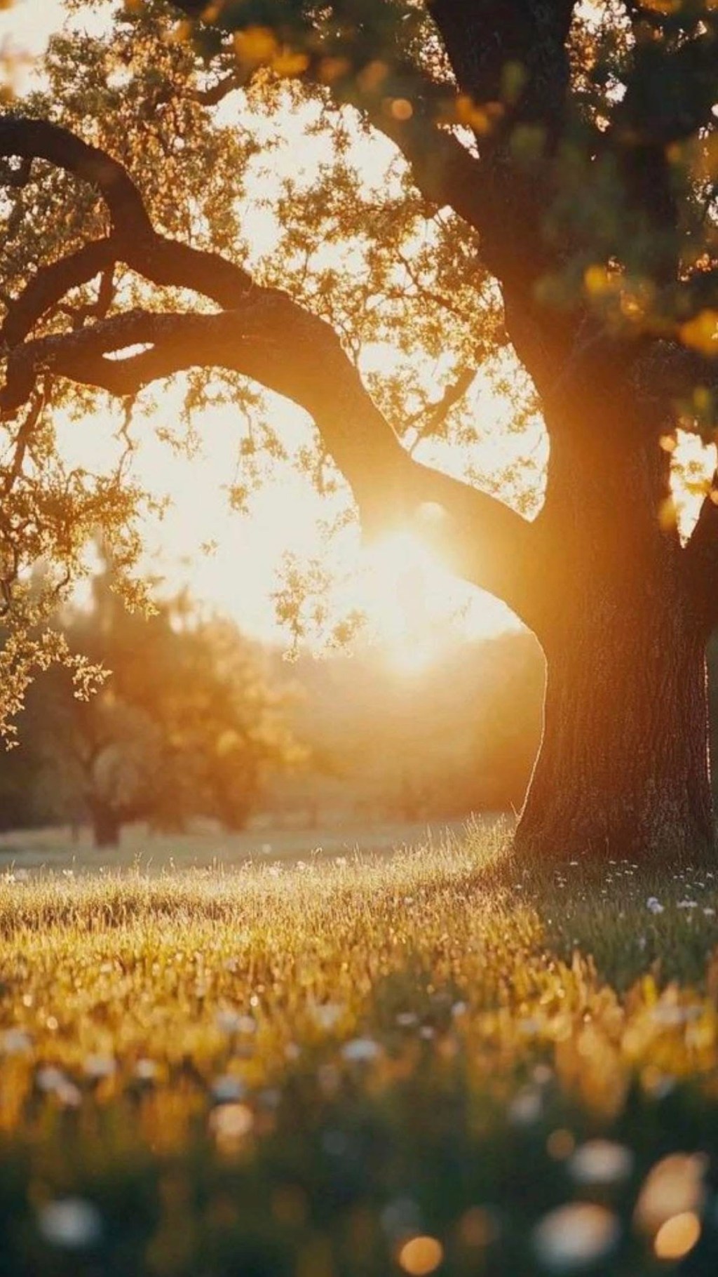 The Pilgrim’s Song: Grace,&nbsp;Grace